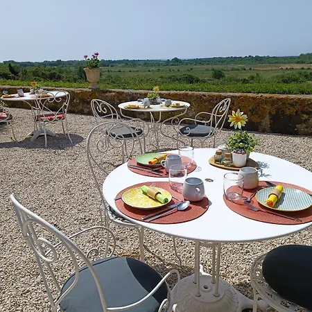 ゲストハウス Domaine De Roque Haute *